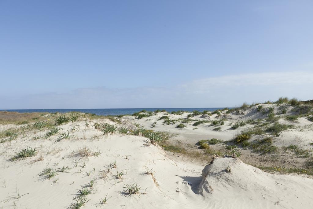 Spiaggiabella Beach Hotel Del Silenzio By Ria Hotels Torre Rinalda Extérieur photo