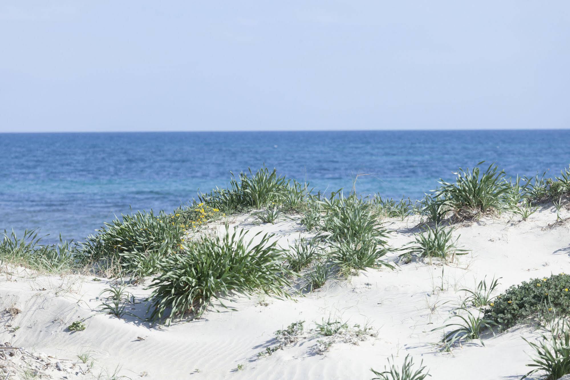 Spiaggiabella Beach Hotel Del Silenzio By Ria Hotels Torre Rinalda Extérieur photo